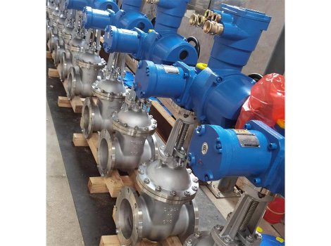 DYZ941H-64C DN250矿用电动闸阀